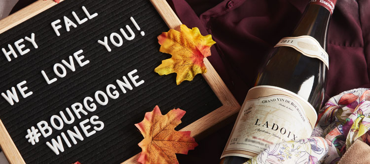 Fall events at the Cité des Climats et vins de Bourgogne