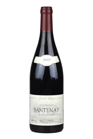 Santenay 2022 Domaine Gerard Boyer